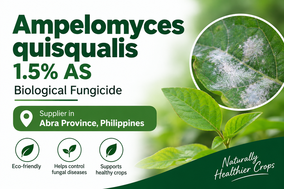 Ampelomyces quisqualis 1.5% AS Supplier in Abra Province Philippines | Biological Fungicide