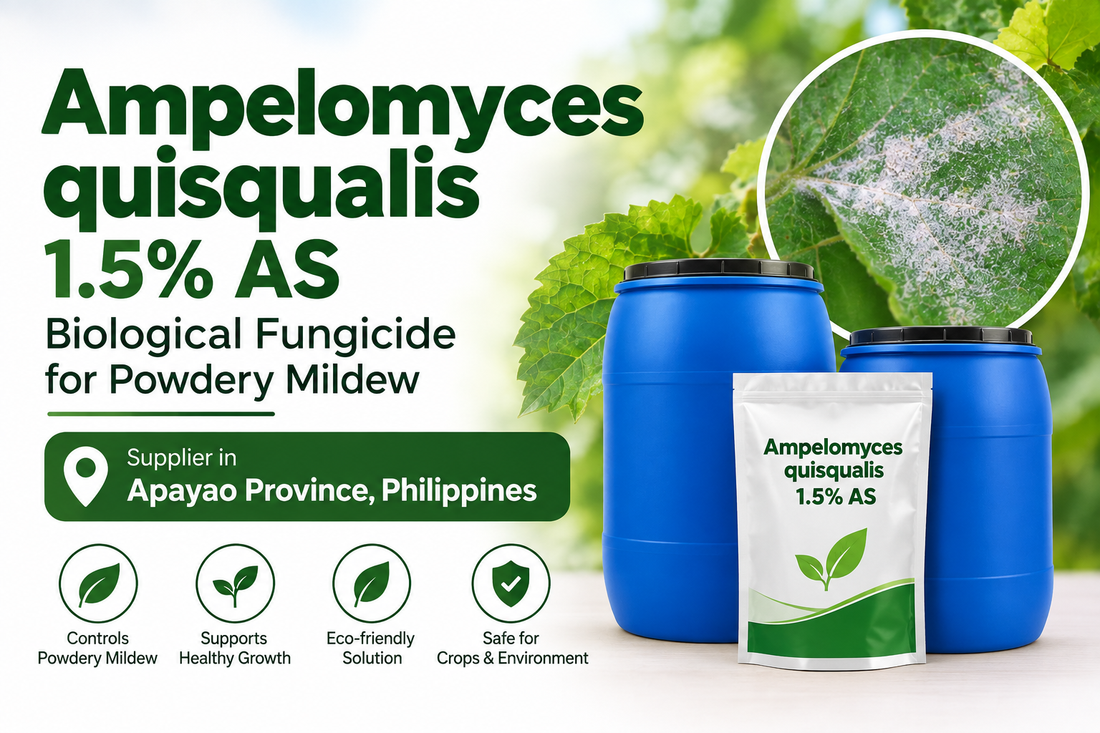 Ampelomyces quisqualis 1.5% AS Supplier in Apayao Province Philippines | Biological Fungicide for Powdery Mildew
