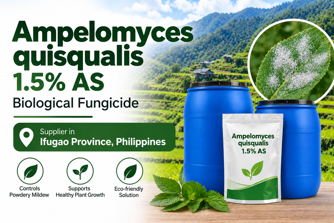 Ampelomyces quisqualis 1.5% AS Supplier in Ifugao Province Philippines | Biological Fungicide