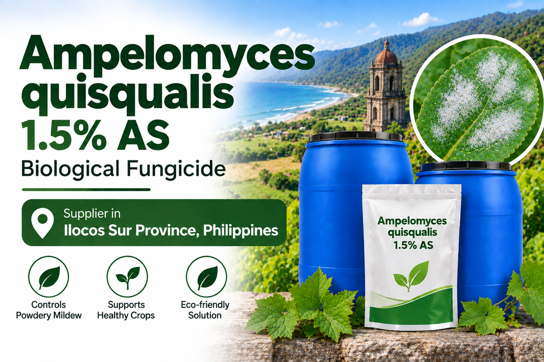 Ampelomyces quisqualis 1.5% AS Supplier in Ilocos Sur Province Philippines | Biological Fungicide