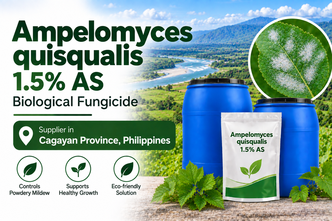 Ampelomyces quisqualis 1.5% AS Supplier in Cagayan Province Philippines | Biological Fungicide