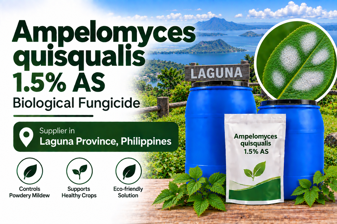 Ampelomyces quisqualis 1.5% AS Supplier in Laguna Province Philippines | Biological Fungicide