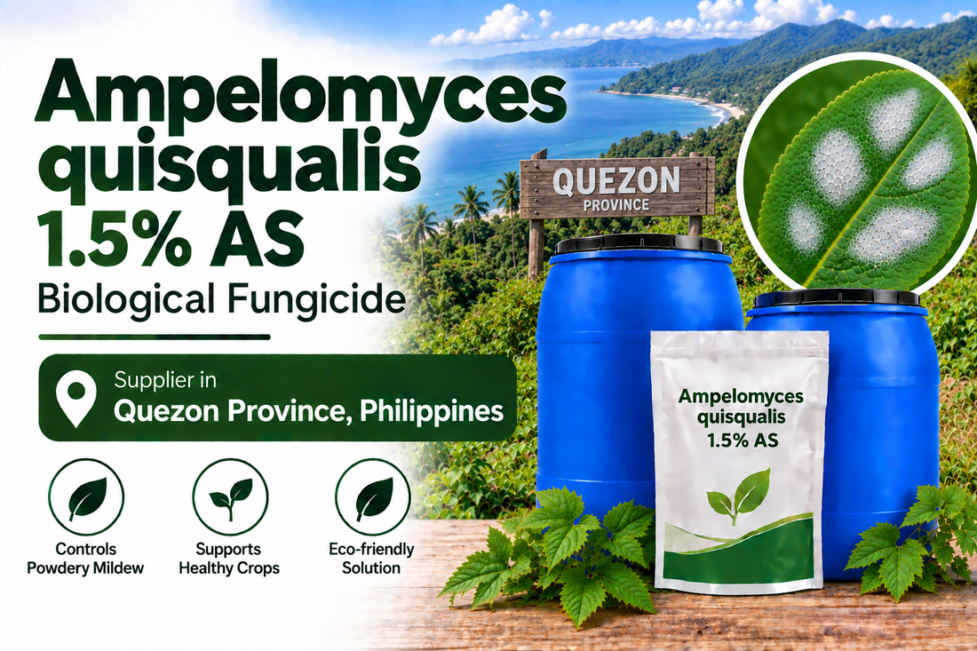 Ampelomyces quisqualis 1.5% AS Supplier in Quezon Province Philippines | Biological Fungicide