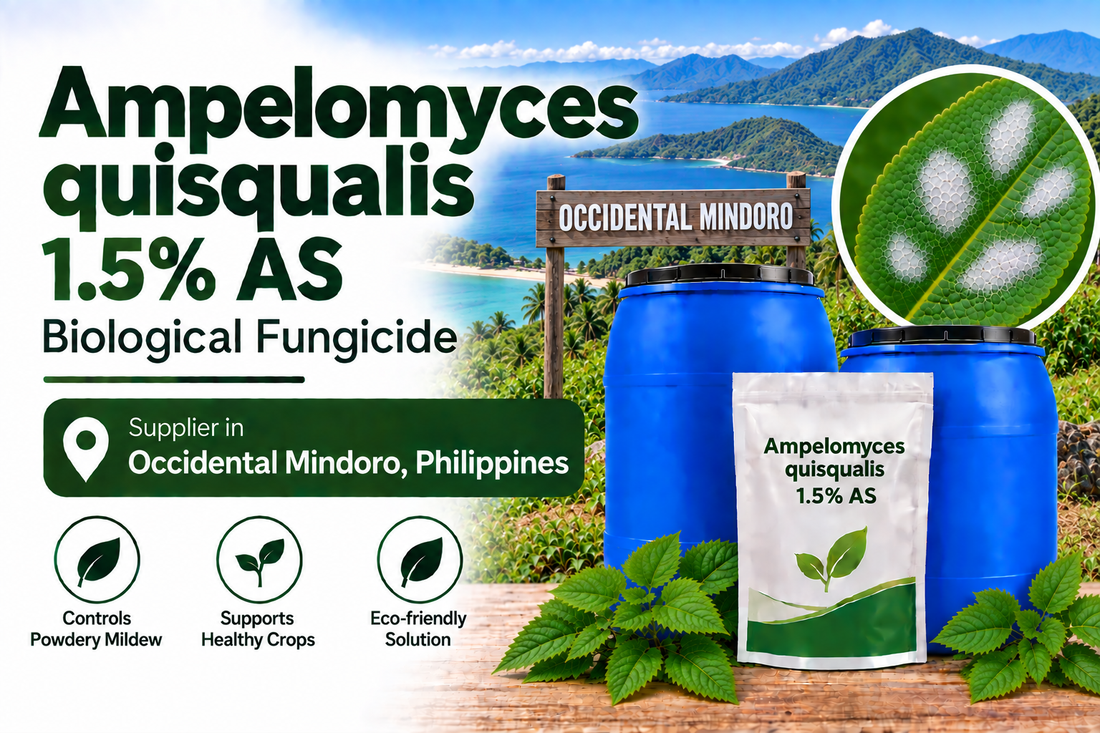 Ampelomyces quisqualis 1.5% AS Supplier in Occidental Mindoro Philippines | Biological Fungicide