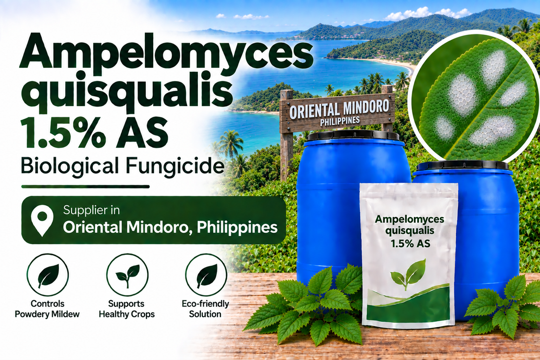 Ampelomyces quisqualis 1.5% AS Supplier in Oriental Mindoro Philippines | Biological Fungicide