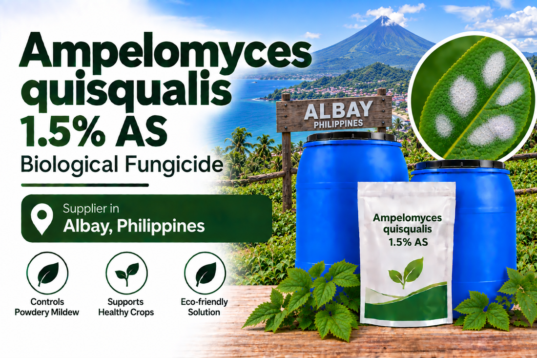 Ampelomyces quisqualis 1.5% AS Supplier in Albay Philippines | Biological Fungicide