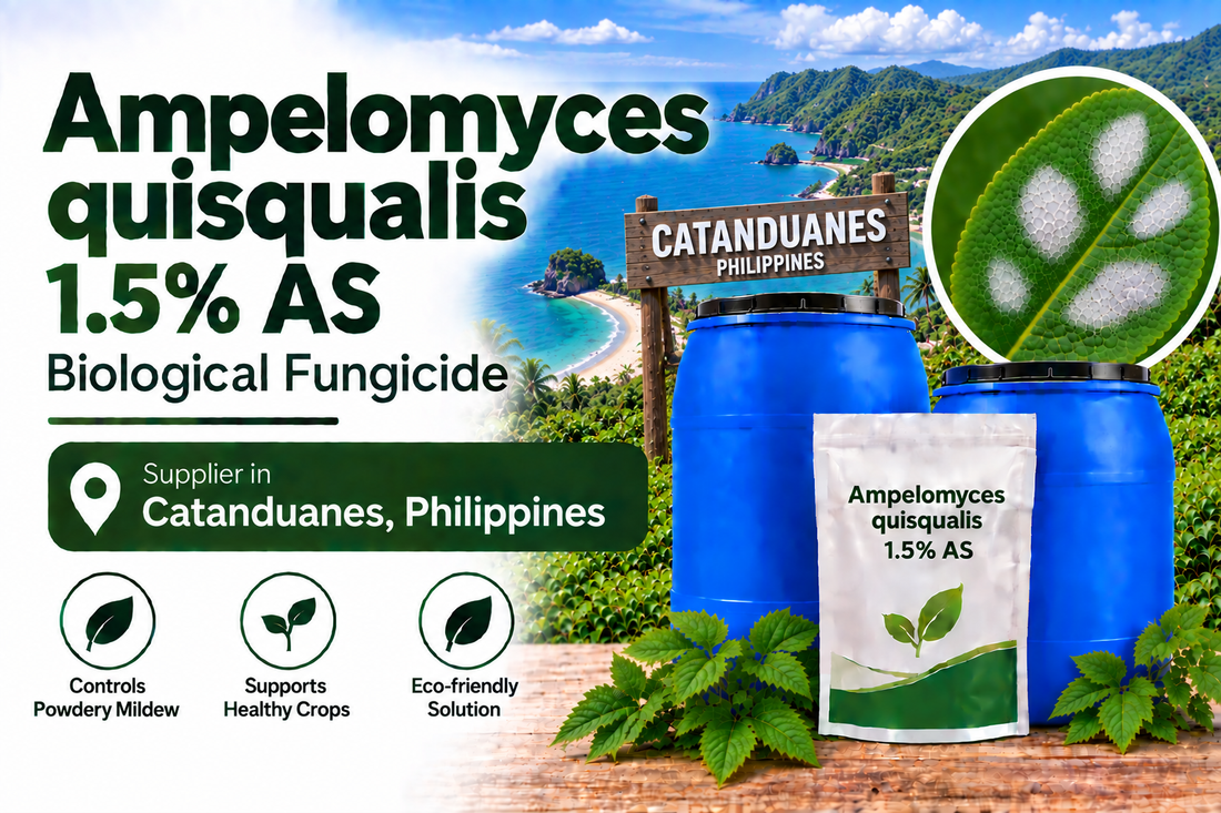 Ampelomyces quisqualis 1.5% AS Supplier in Catanduanes Philippines | Biological Fungicide