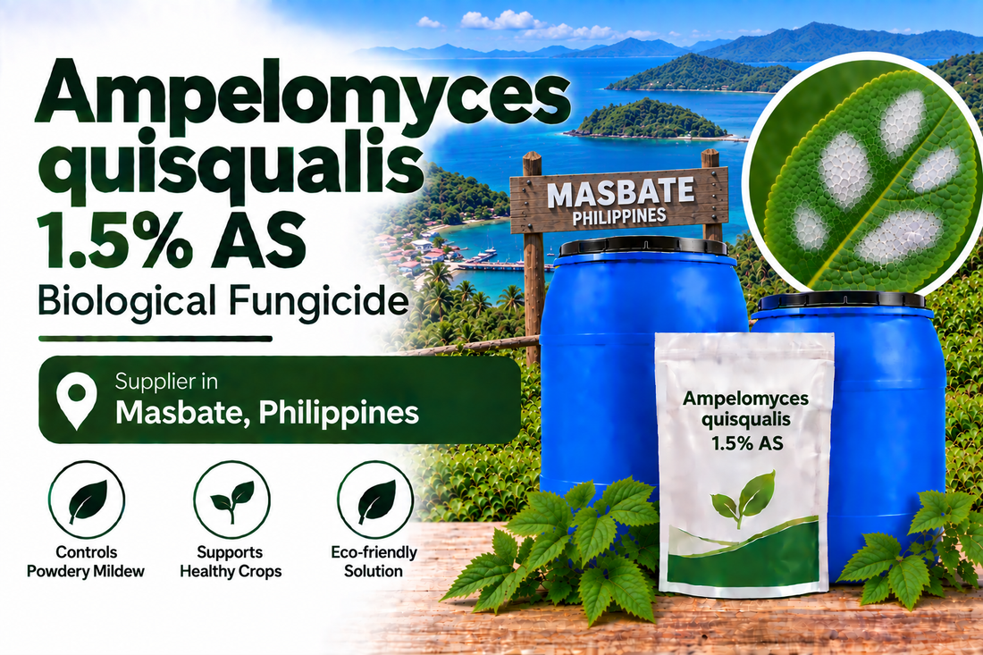 Ampelomyces quisqualis 1.5% AS Supplier in Masbate Philippines | Biological Fungicide