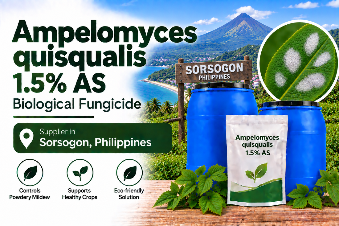Ampelomyces quisqualis 1.5% AS Supplier in Sorsogon Philippines | Biological Fungicide