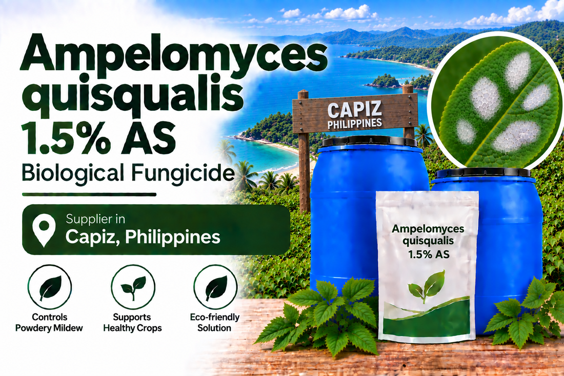 Ampelomyces quisqualis 1.5% AS Supplier in Capiz Philippines | Biological Fungicide