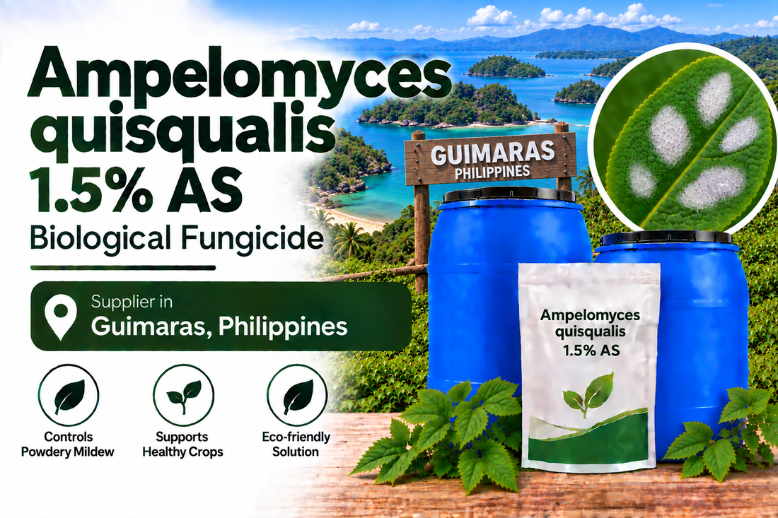 Ampelomyces quisqualis 1.5% AS Supplier in Guimaras Philippines | Biological Fungicide