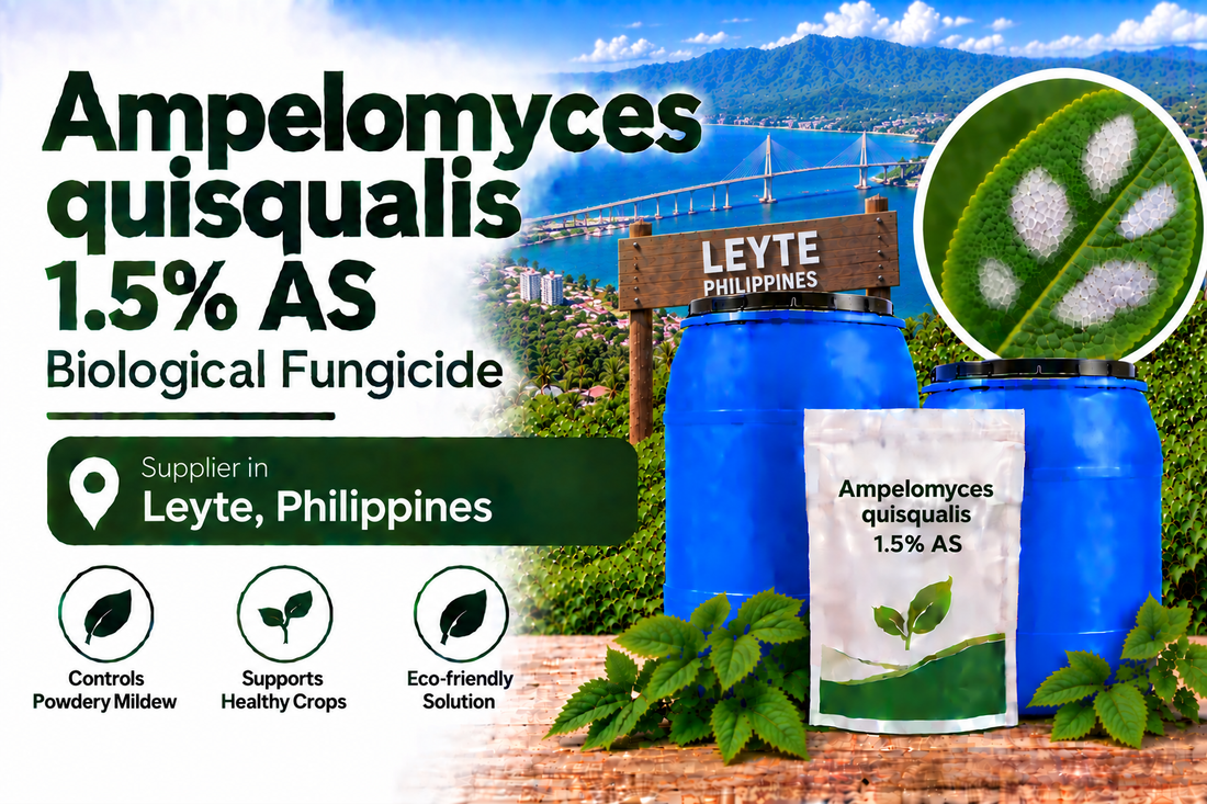 Ampelomyces quisqualis 1.5% AS Supplier in Leyte Philippines | Biological Fungicide