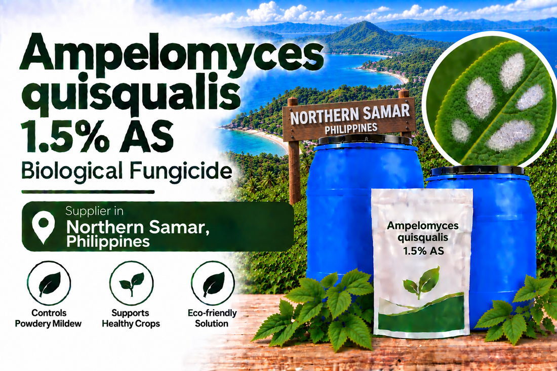 Ampelomyces quisqualis 1.5% AS Supplier in Northern Samar Philippines | Biological Fungicide