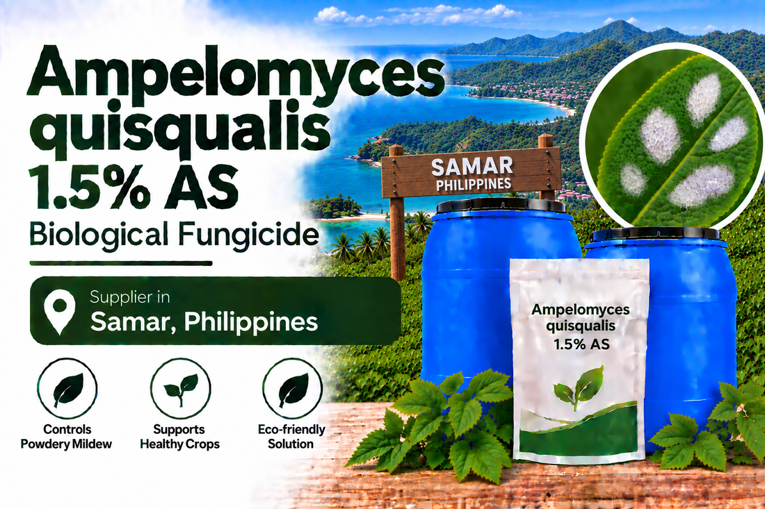 Ampelomyces quisqualis 1.5% AS Supplier in Samar Philippines | Biological Fungicide