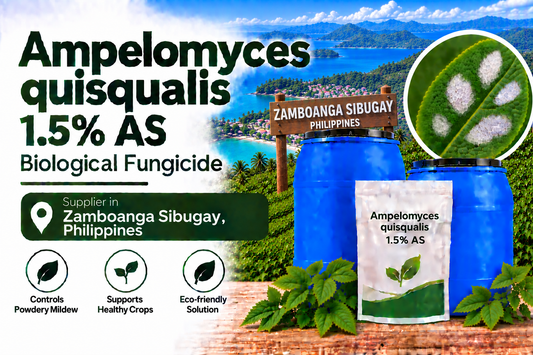 Ampelomyces quisqualis 1.5% AS Supplier in Zamboanga Sibugay Philippines | Biological Fungicide