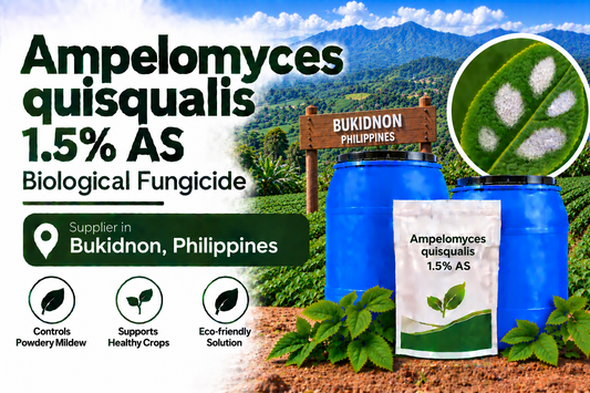 Ampelomyces quisqualis 1.5% AS Supplier in Bukidnon Philippines | Biological Fungicide