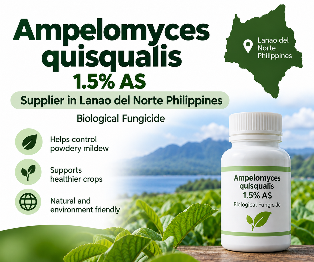 Ampelomyces quisqualis 1.5% AS Supplier in Lanao del Norte Philippines | Biological Fungicide