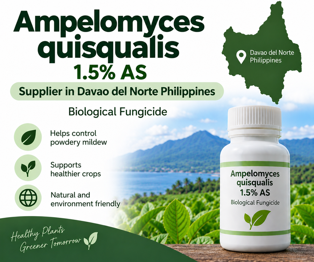 Ampelomyces quisqualis 1.5% AS Supplier in Davao del Norte Philippines | Biological Fungicide