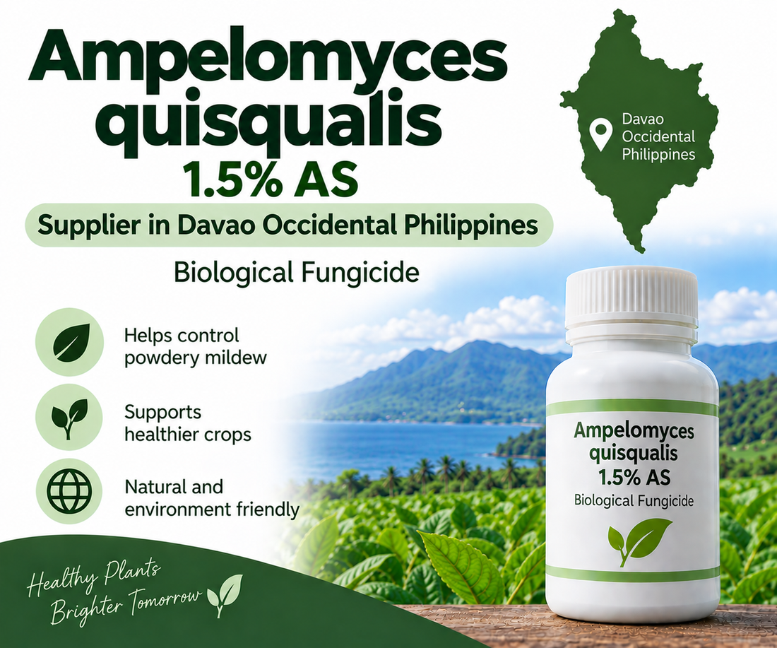 Ampelomyces quisqualis 1.5% AS Supplier in Davao Occidental Philippines | Biological Fungicide