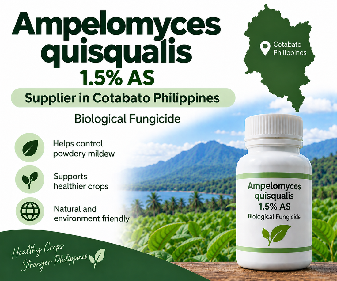 Ampelomyces quisqualis 1.5% AS Supplier in Cotabato Philippines | Biological Fungicide
