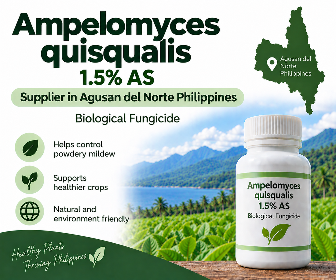 Ampelomyces quisqualis 1.5% AS Supplier in Agusan del Norte Philippines | Biological Fungicide