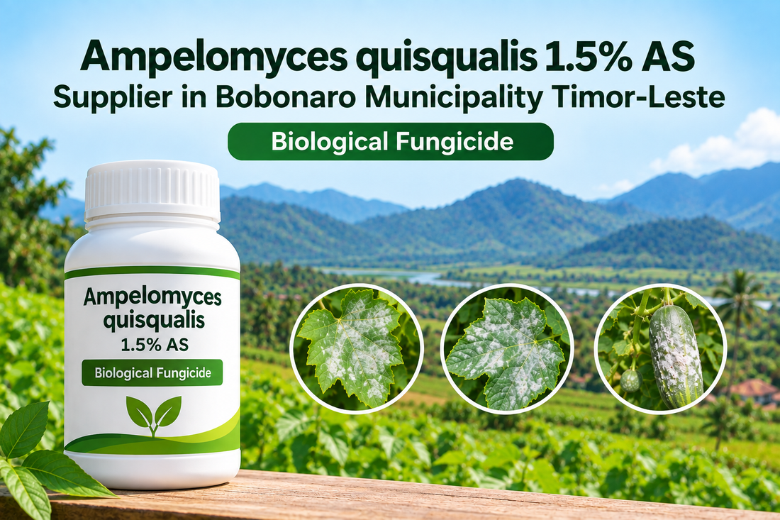 Ampelomyces quisqualis 1.5% AS Supplier in Bobonaro Municipality Timor-Leste | Biological Fungicid