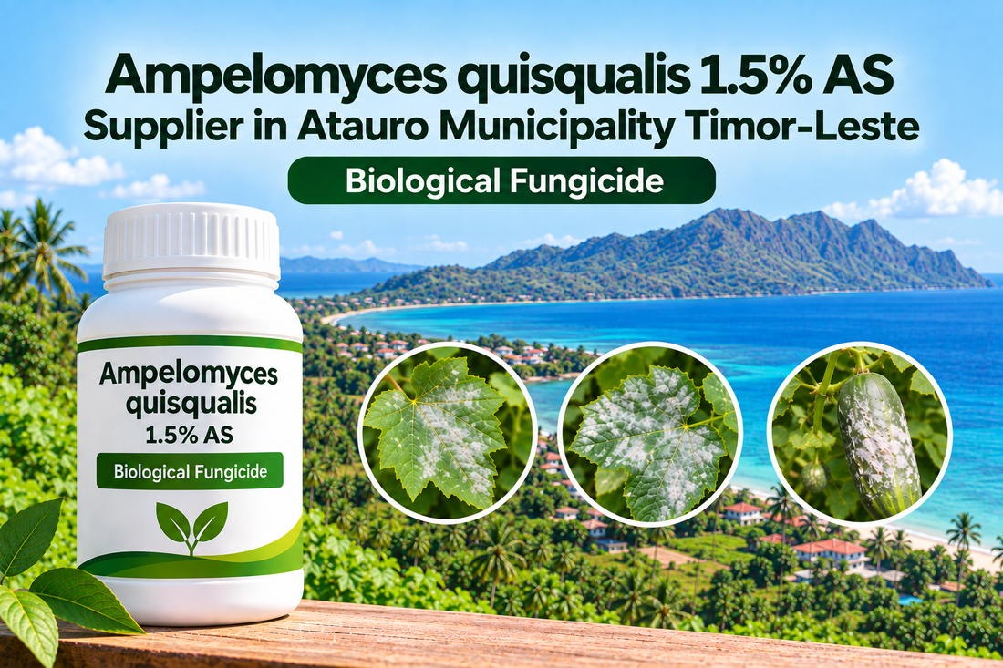 Ampelomyces quisqualis 1.5% AS Supplier in Atauro Municipality Timor-Leste | Biological Fungicide