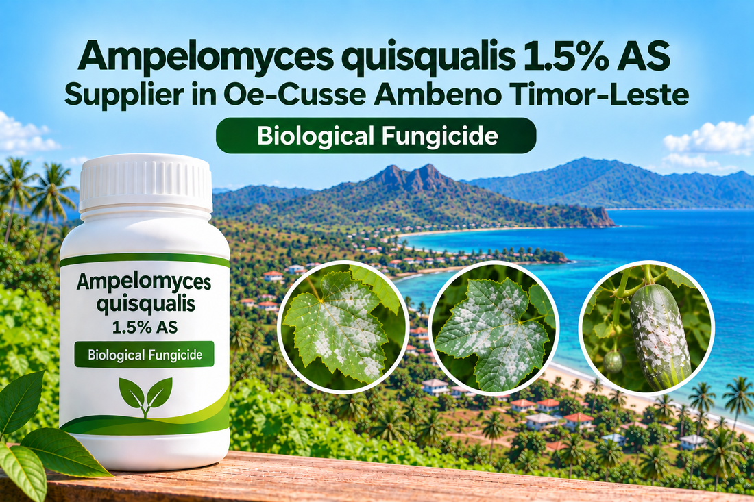 Ampelomyces quisqualis 1.5% AS Supplier in Oe-Cusse Ambeno Timor-Leste | Biological Fungicide