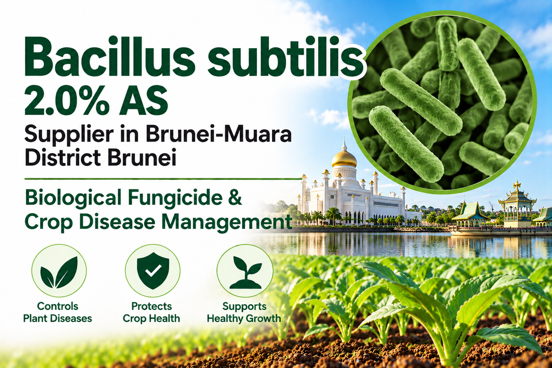 Bacillus subtilis 2.0% AS Supplier in Brunei-Muara District Brunei | Biological Fungicide & Crop Disease Management