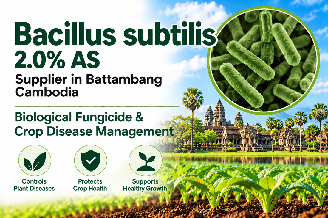 Bacillus subtilis 2.0% AS Supplier in Battambang Cambodia | Biological Fungicide & Crop Disease Management