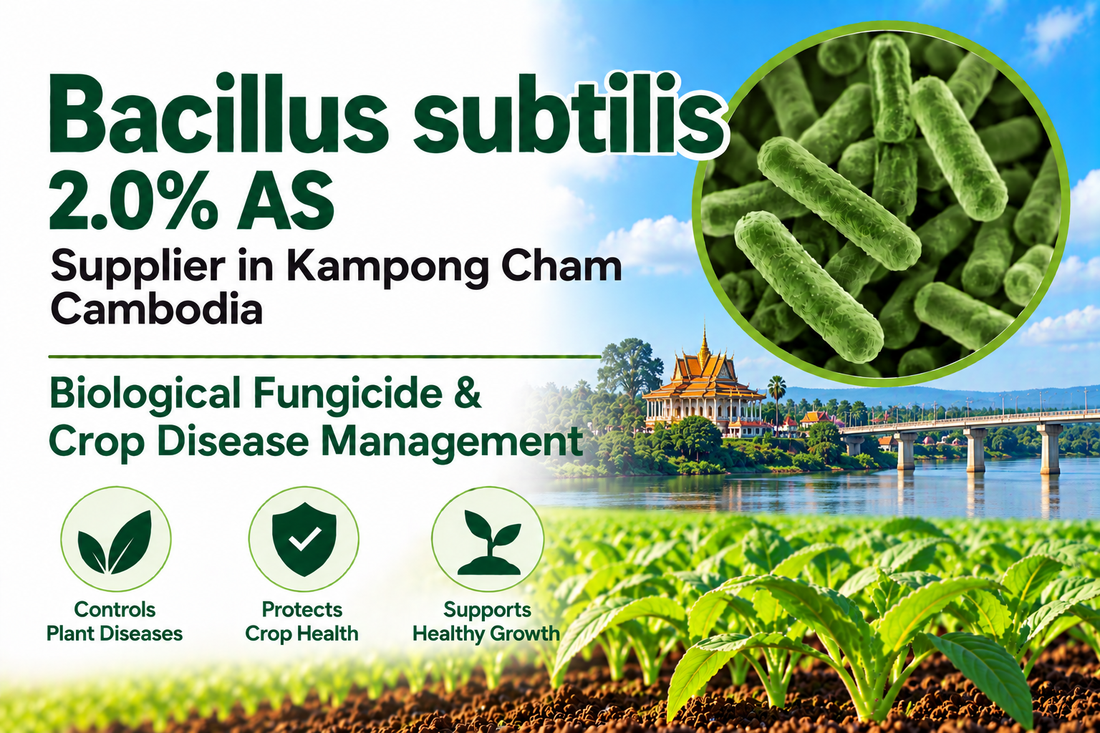 Bacillus subtilis 2.0% AS Supplier in Kampong Cham Cambodia | Biological Fungicide & Crop Disease Management
