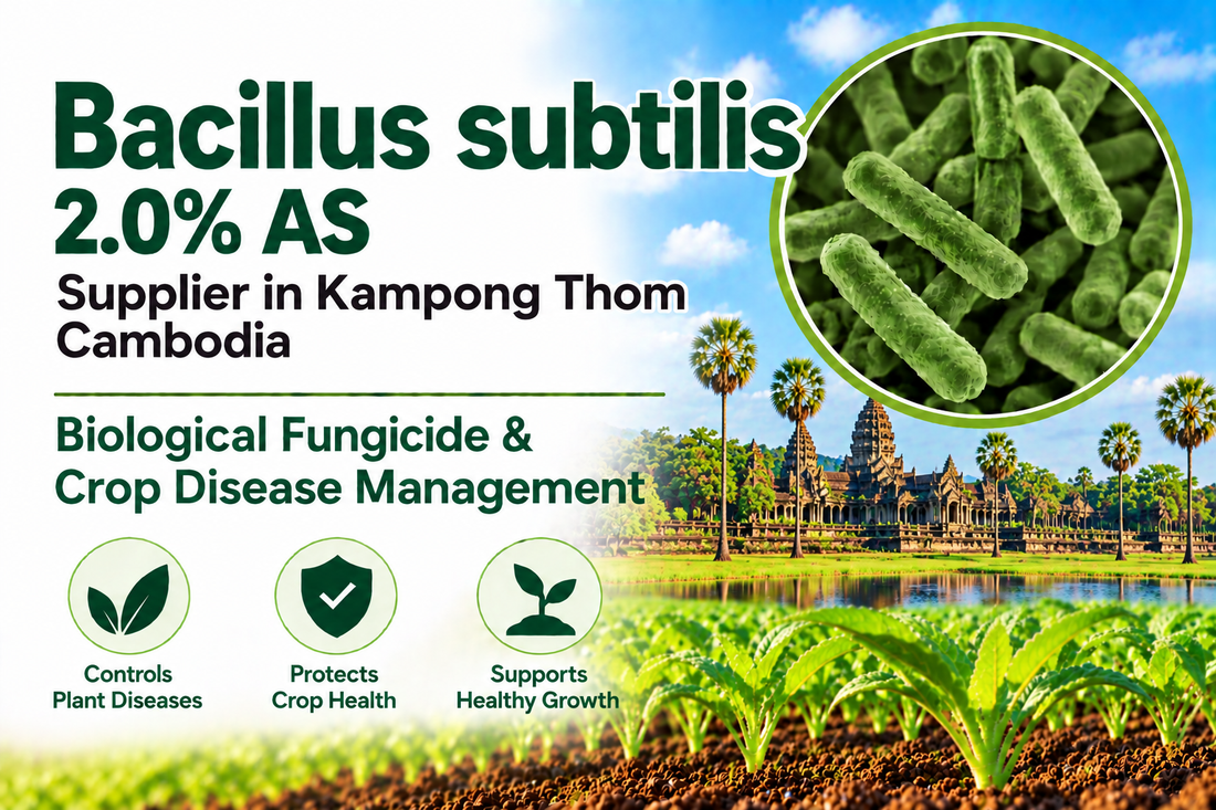Bacillus subtilis 2.0% AS Supplier in Kampong Thom Cambodia | Biological Fungicide & Crop Disease Management