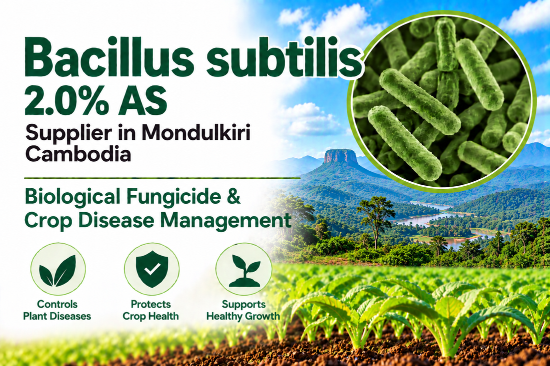 Bacillus subtilis 2.0% AS Supplier in Mondulkiri Cambodia | Biological Fungicide & Crop Disease Management