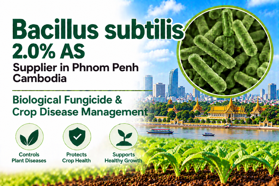 Bacillus subtilis 2.0% AS Supplier in Phnom Penh Cambodia | Biological Fungicide & Crop Disease Management