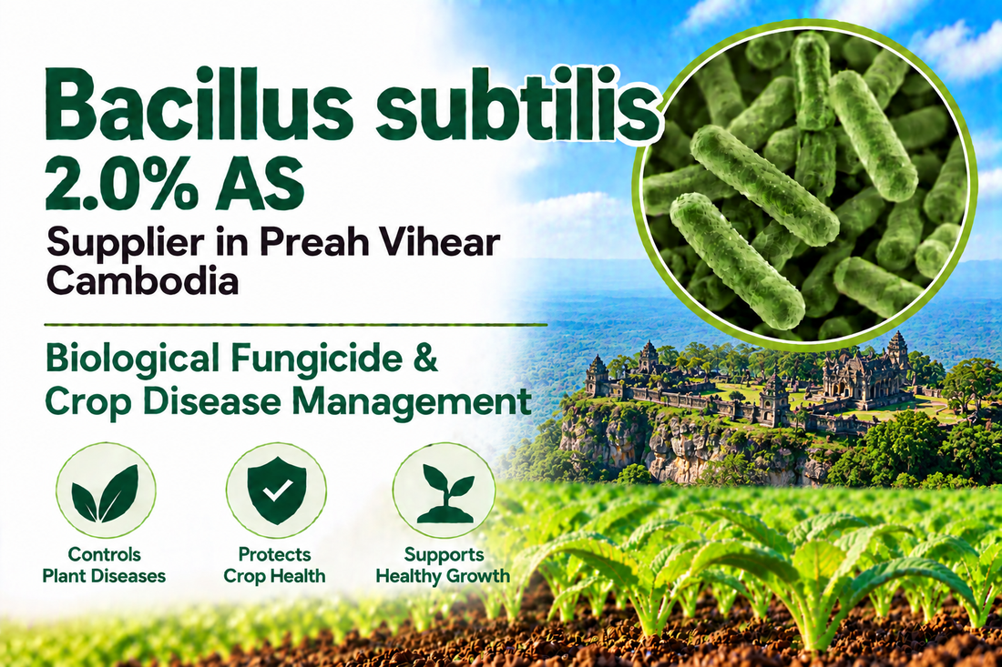 Bacillus subtilis 2.0% AS Supplier in Preah Vihear Cambodia | Biological Fungicide & Crop Disease Management