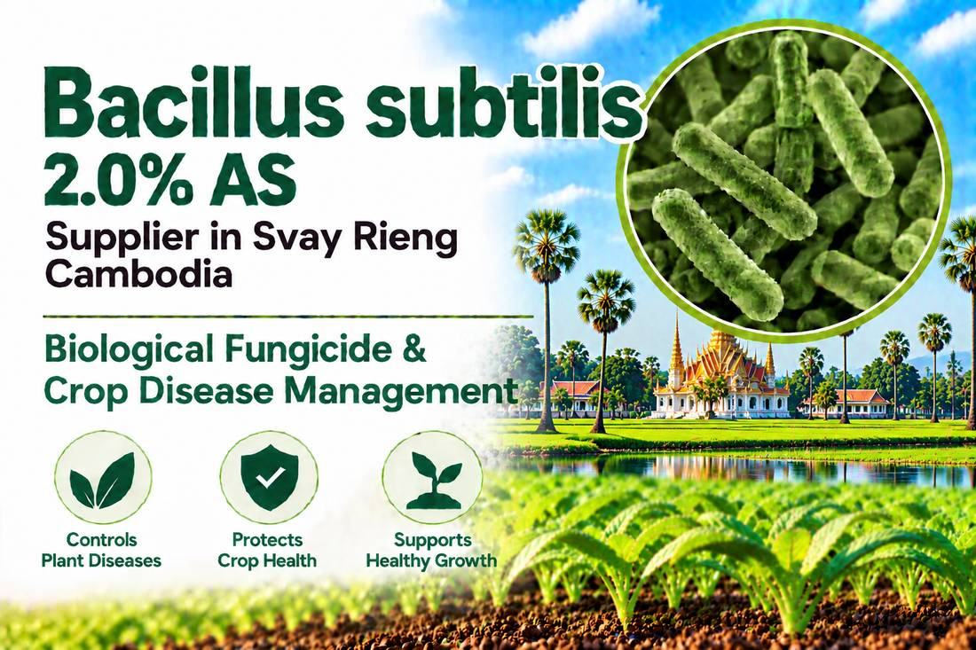 Bacillus subtilis 2.0% AS Supplier in Svay Rieng Cambodia | Biological Fungicide & Crop Disease Management