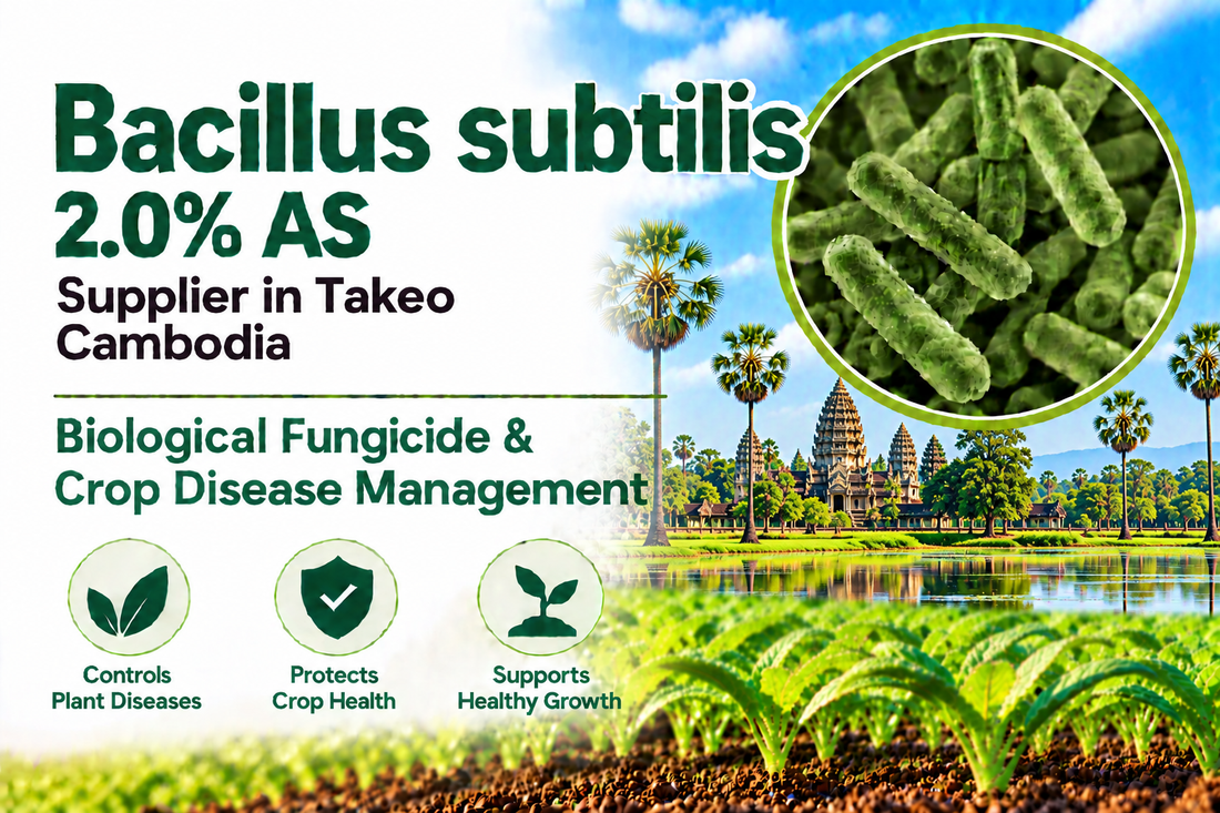 Bacillus subtilis 2.0% AS Supplier in Takeo Cambodia | Biological Fungicide & Crop Disease Management