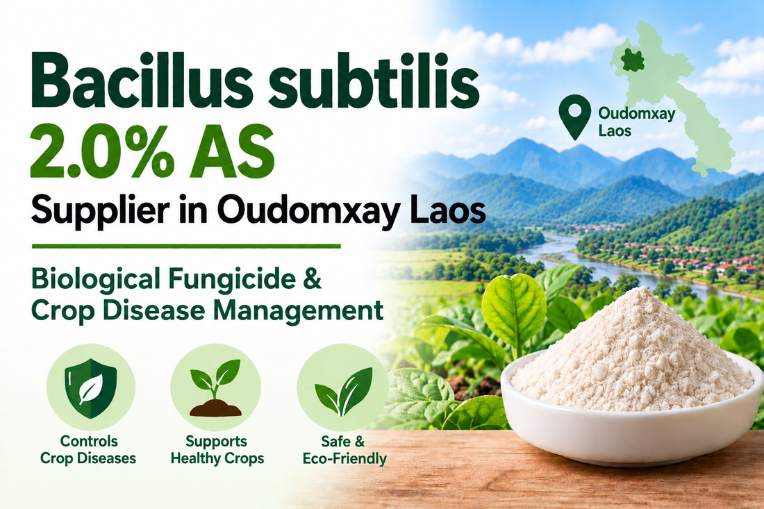 Bacillus subtilis 2.0% AS Supplier in Oudomxay Laos | Biological Fungicide & Crop Disease Management