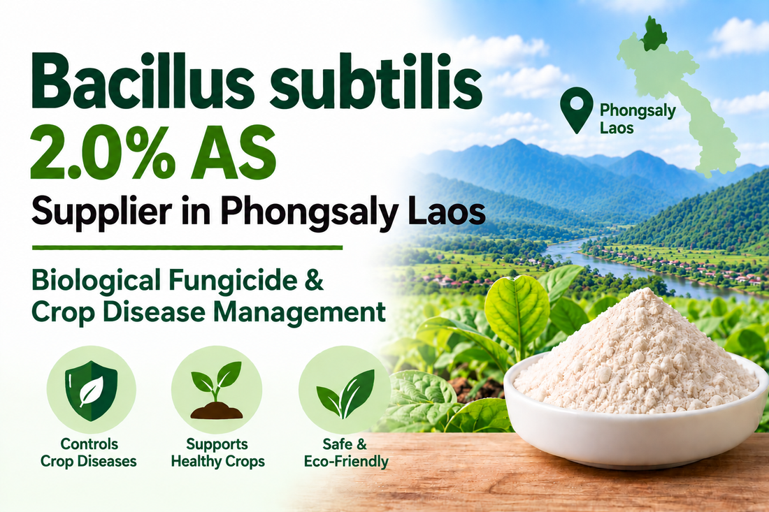 Bacillus subtilis 2.0% AS Supplier in Phongsaly Laos | Biological Fungicide & Crop Disease Management