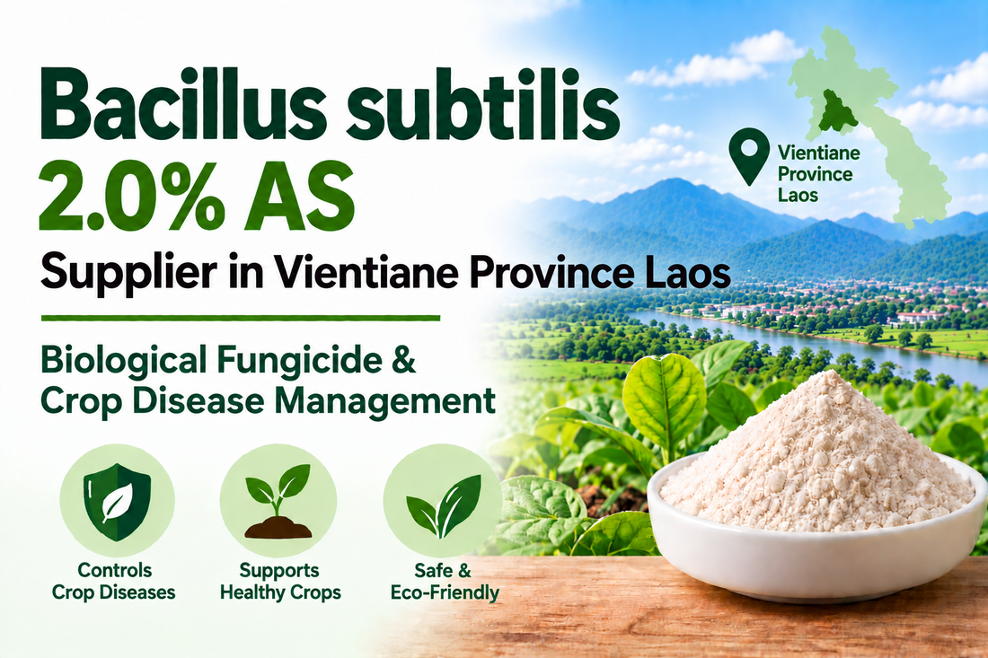 Bacillus subtilis 2.0% AS Supplier in Vientiane Province Laos | Biological Fungicide & Crop Disease Management