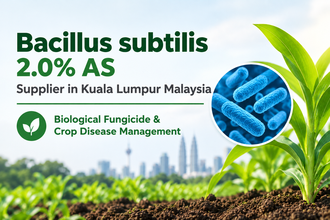 Bacillus subtilis 2.0% AS Supplier in Kuala Lumpur Malaysia | Biological Fungicide & Crop Disease Management