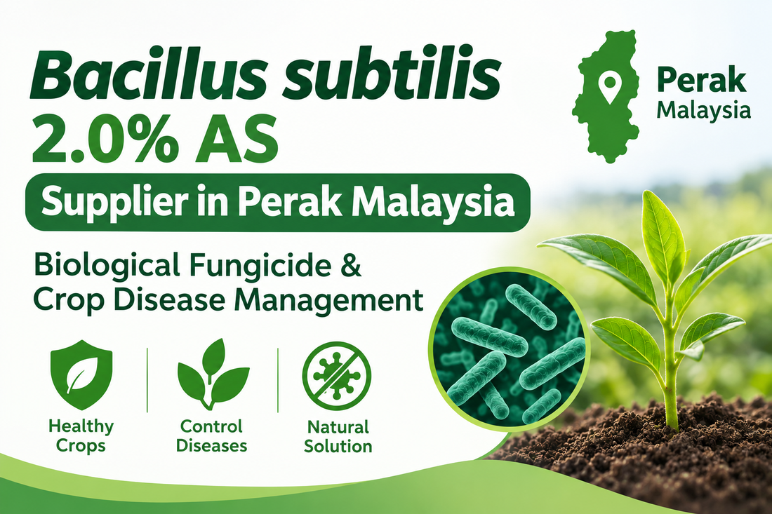 Bacillus subtilis 2.0% AS Supplier in Perak Malaysia | Biological Fungicide & Crop Disease Management