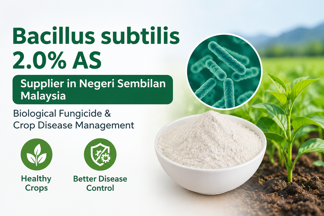 Bacillus subtilis 2.0% AS Supplier in Negeri Sembilan Malaysia | Biological Fungicide & Crop Disease Management