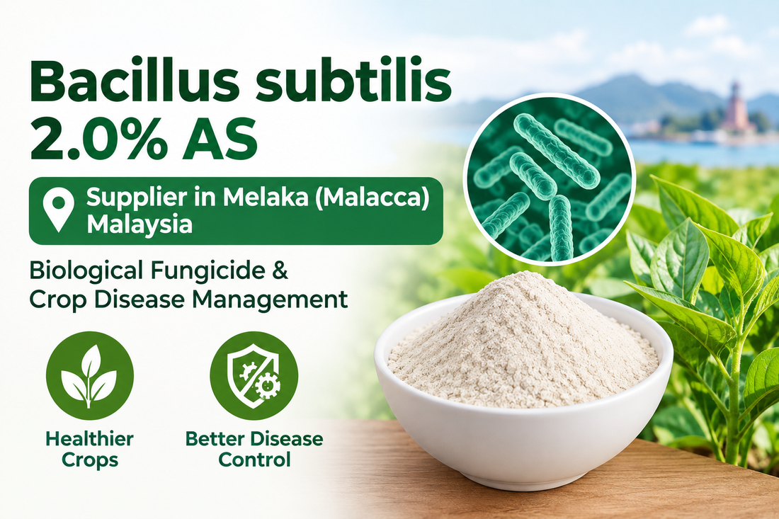Bacillus subtilis 2.0% AS Supplier in Melaka (Malacca) Malaysia | Biological Fungicide & Crop Disease Management