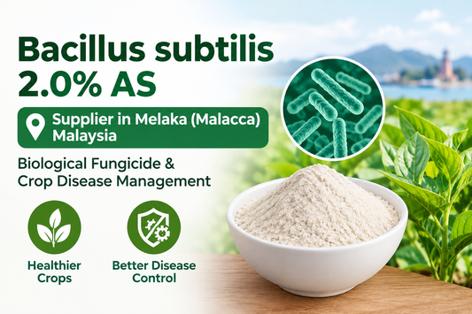 Bacillus subtilis 2.0% AS Supplier in Melaka (Malacca) Malaysia | Biological Fungicide & Crop Disease Management