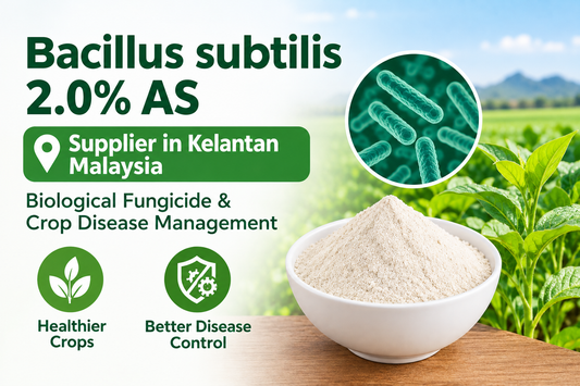 Bacillus subtilis 2.0% AS Supplier in Kelantan Malaysia | Biological Fungicide & Crop Disease Management