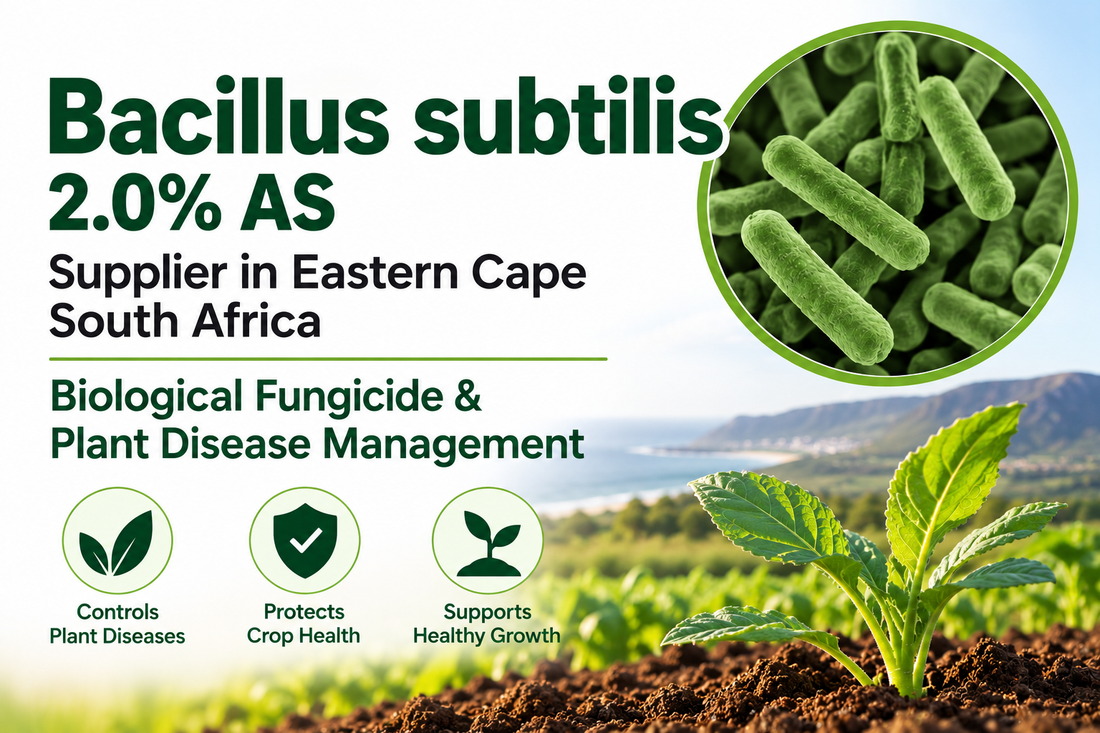 Bacillus subtilis 2.0% AS Supplier in Eastern Cape South Africa | Biological Fungicide & Plant Disease Management
