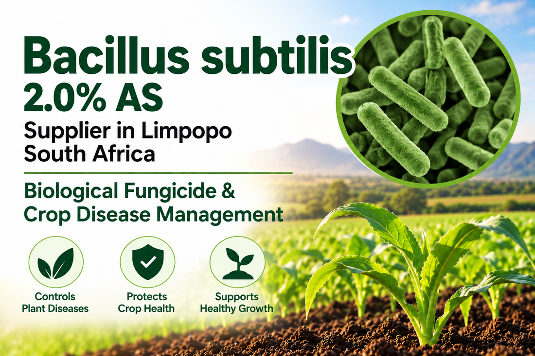 Bacillus subtilis 2.0% AS Supplier in Limpopo South Africa | Biological Fungicide & Crop Disease Management