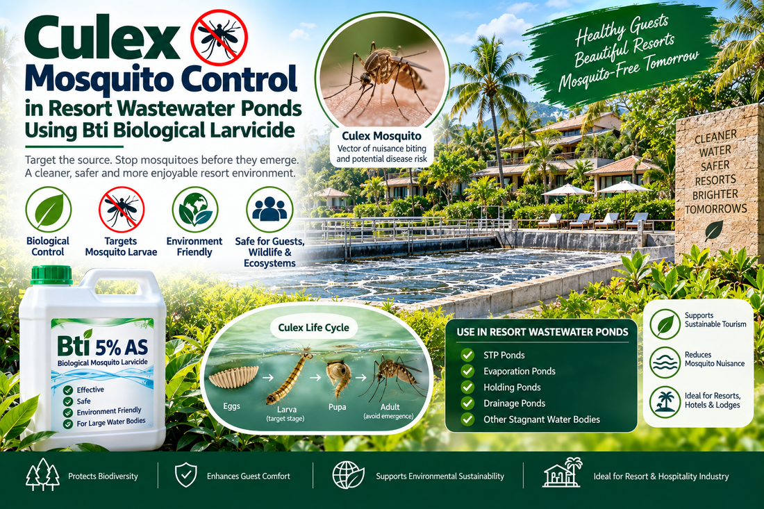 Culex Mosquito Control in Resort Wastewater Ponds Using Bti Biological Larvicide
