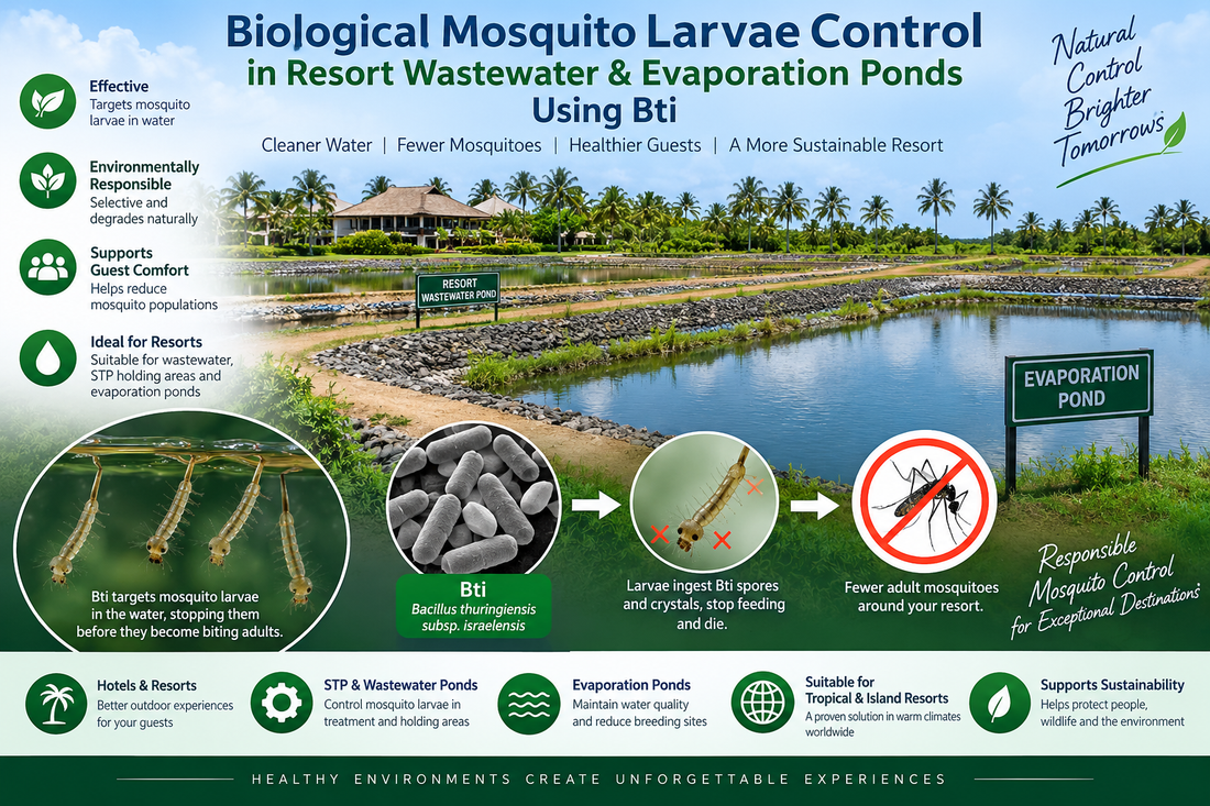 Biological Mosquito Larvae Control in Resort Wastewater & Evaporation Ponds Using Bti